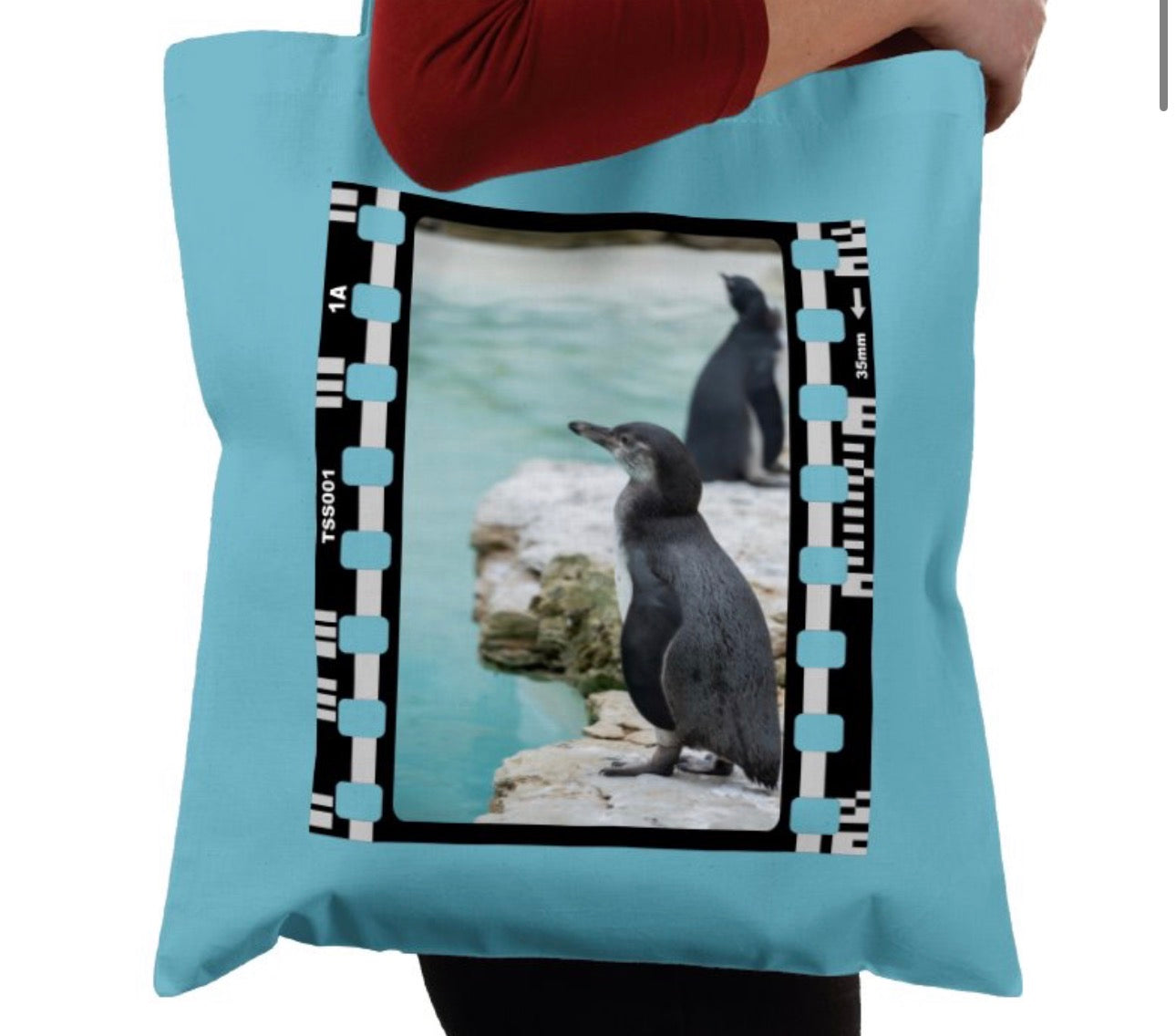 Oceanic Penguin, Wildlife, Animal, Photography Film, Tote Bag