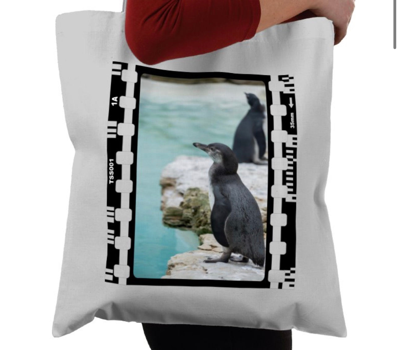 Oceanic Penguin, Wildlife, Animal, Photography Film, Tote Bag