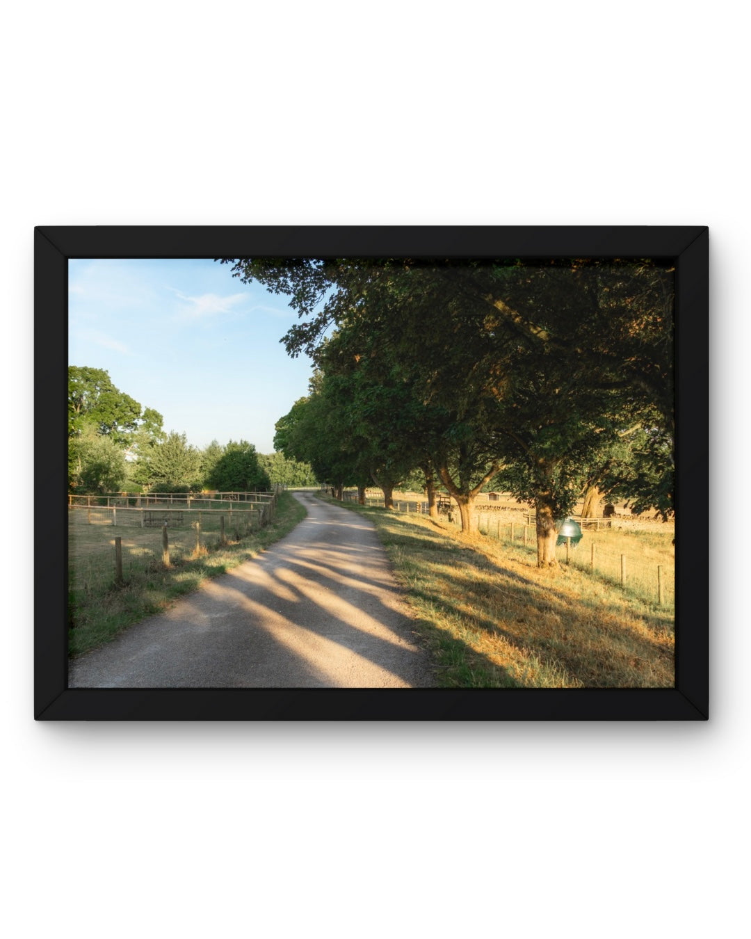 BUNDLE X3: Cotswolds Landscape, Nature & Wildlife, Unframed Photography Prints