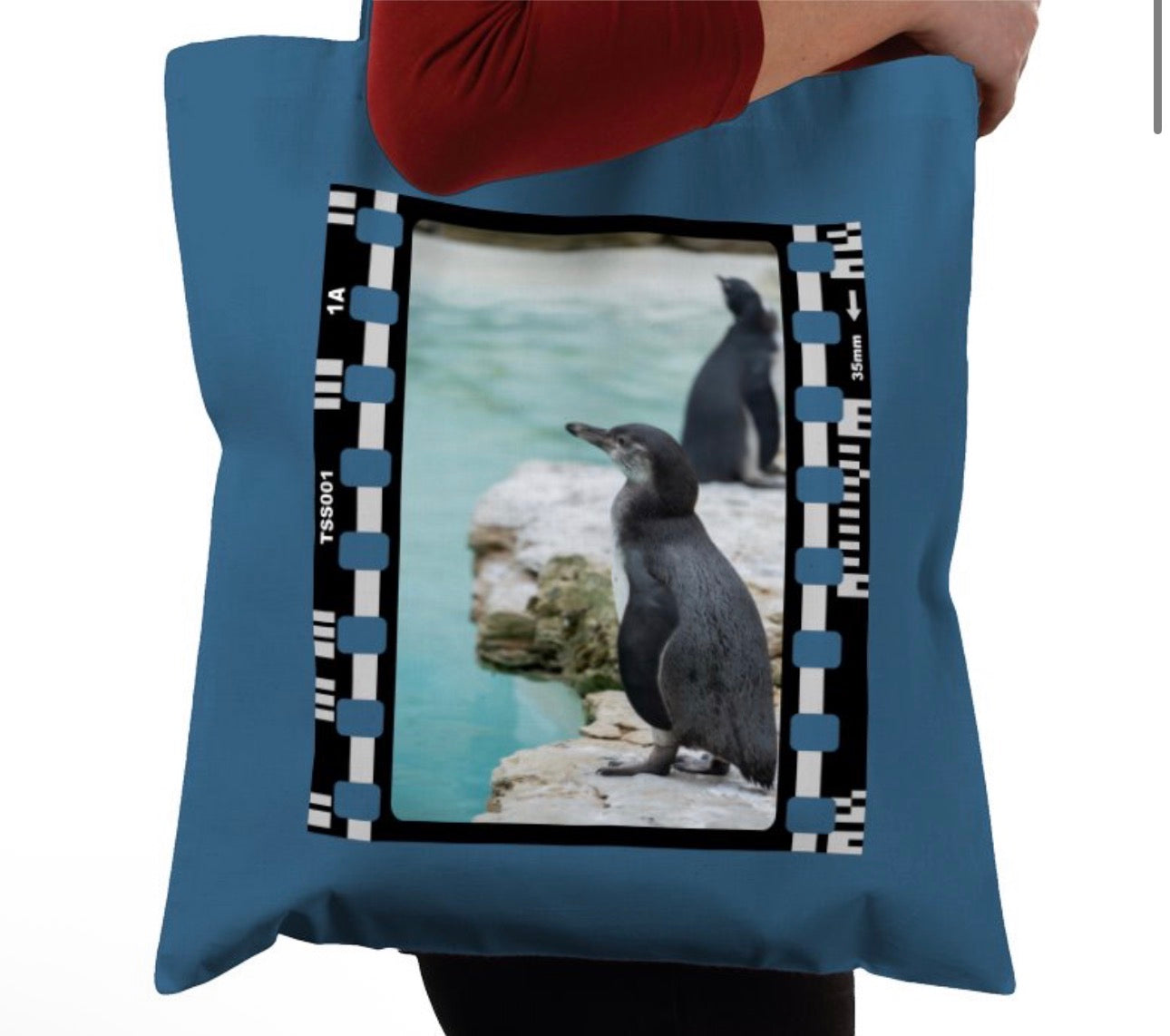 Oceanic Penguin, Wildlife, Animal, Photography Film, Tote Bag