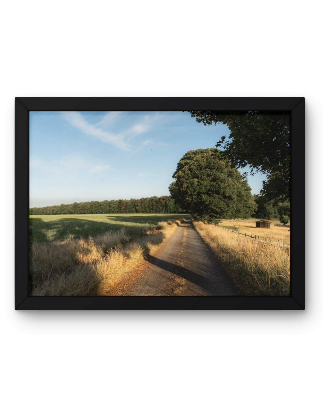 Cotswolds Landscape, Nature & Wildlife, Unframed Photography Print