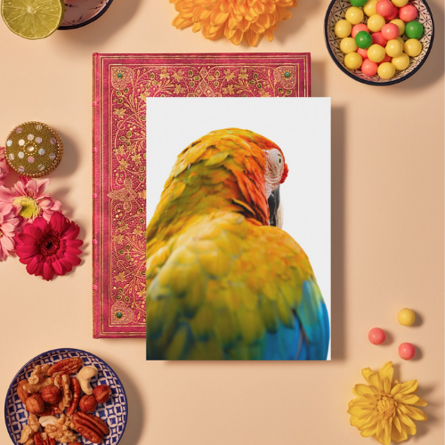 Close-Up Parrot Wildlife Print, Nature, Photography, Colourful Photographic Print