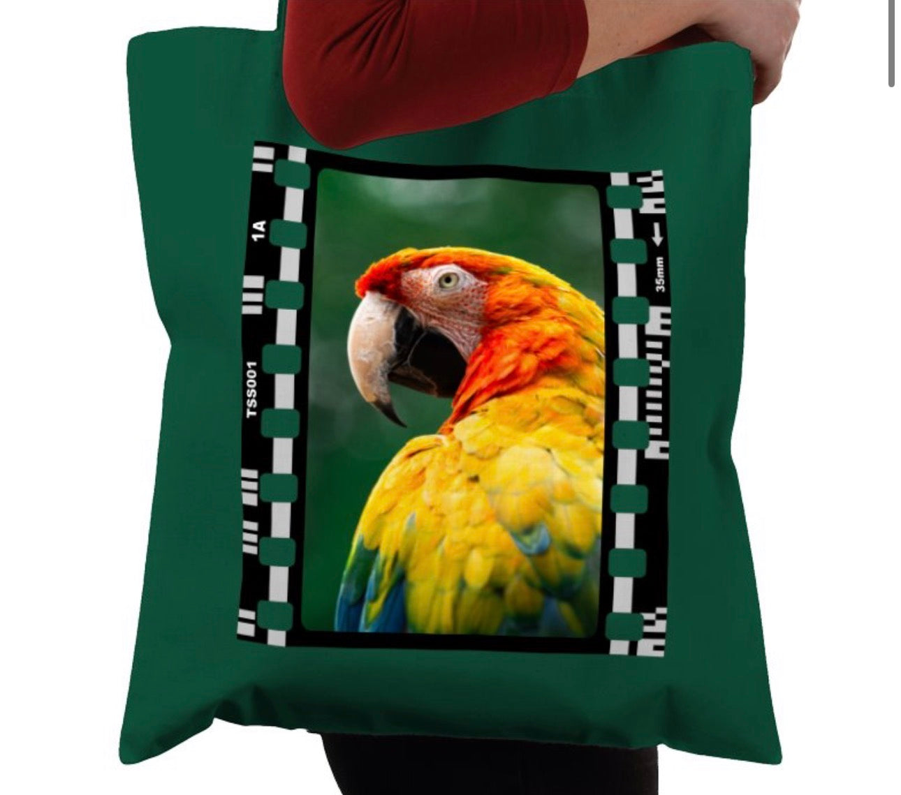 Parrot, Wildlife, Animal, Photography Film, Tote Bag