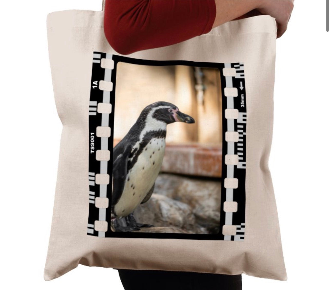 Wandering Penguin, Wildlife, Animal, Photography Film, Tote Bag