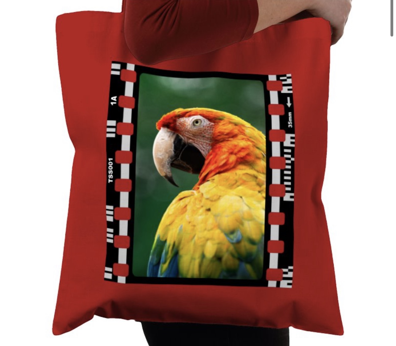 Parrot, Wildlife, Animal, Photography Film, Tote Bag