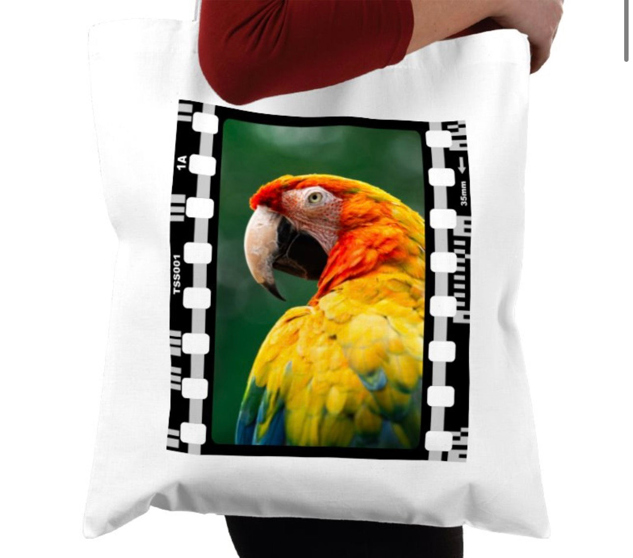 Parrot, Wildlife, Animal, Photography Film, Tote Bag