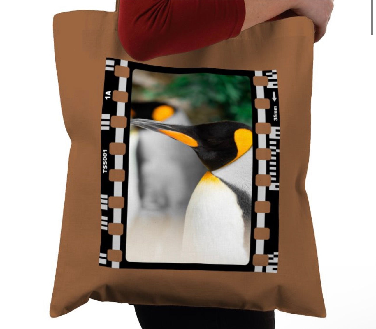 Penguin, Wildlife, Animal, Photography Film, Tote Bag