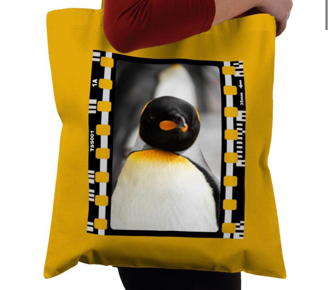 Penguin, Wildlife, Animal, Photography Film, Tote Bag