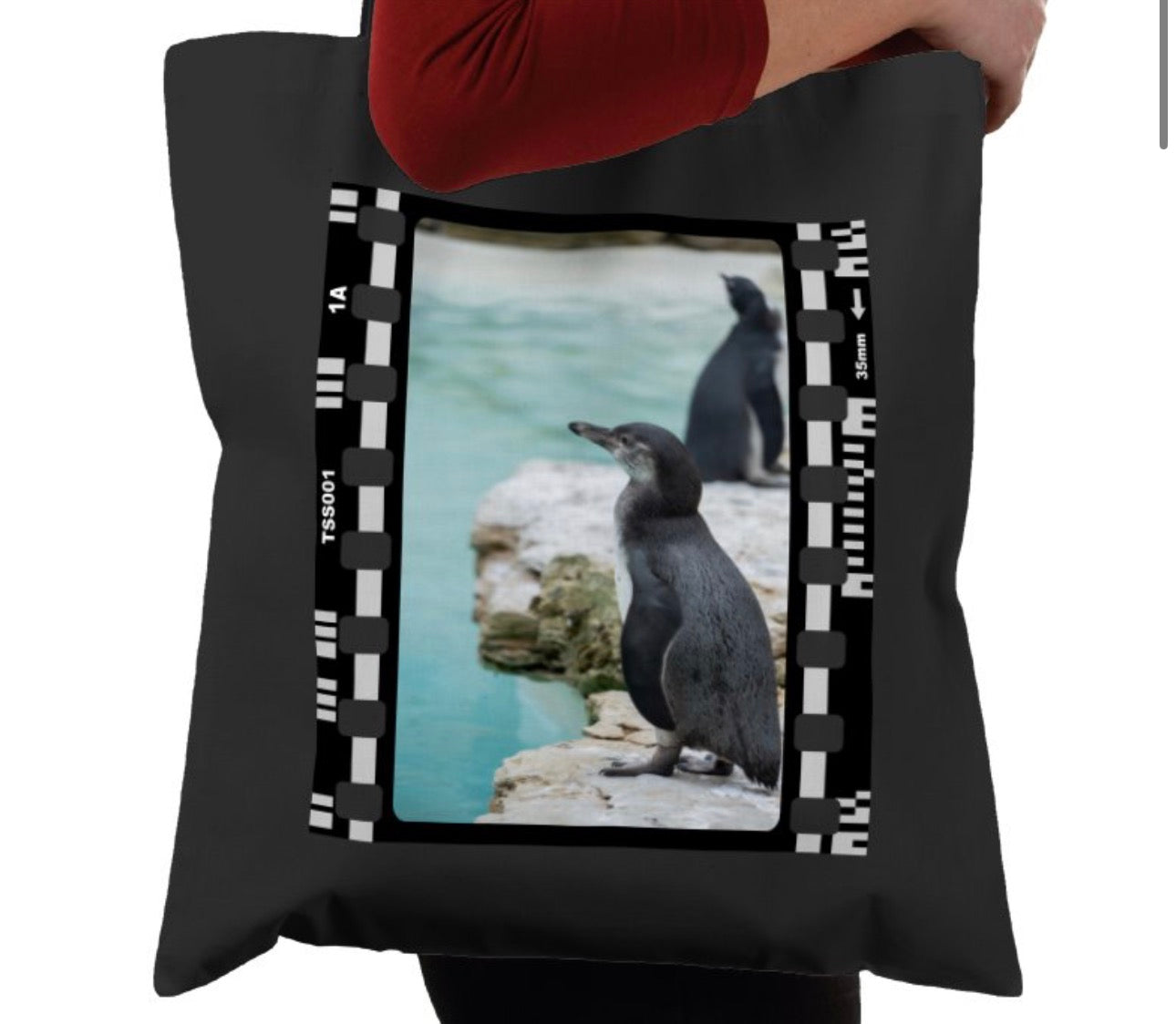 Oceanic Penguin, Wildlife, Animal, Photography Film, Tote Bag