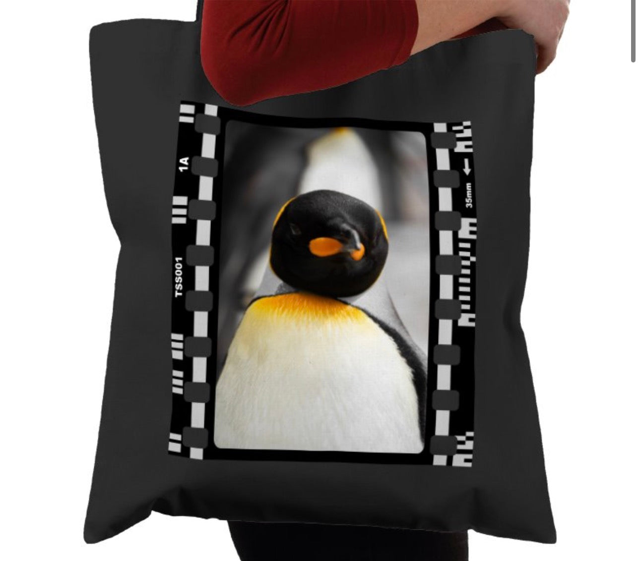 Penguin, Wildlife, Animal, Photography Film, Tote Bag