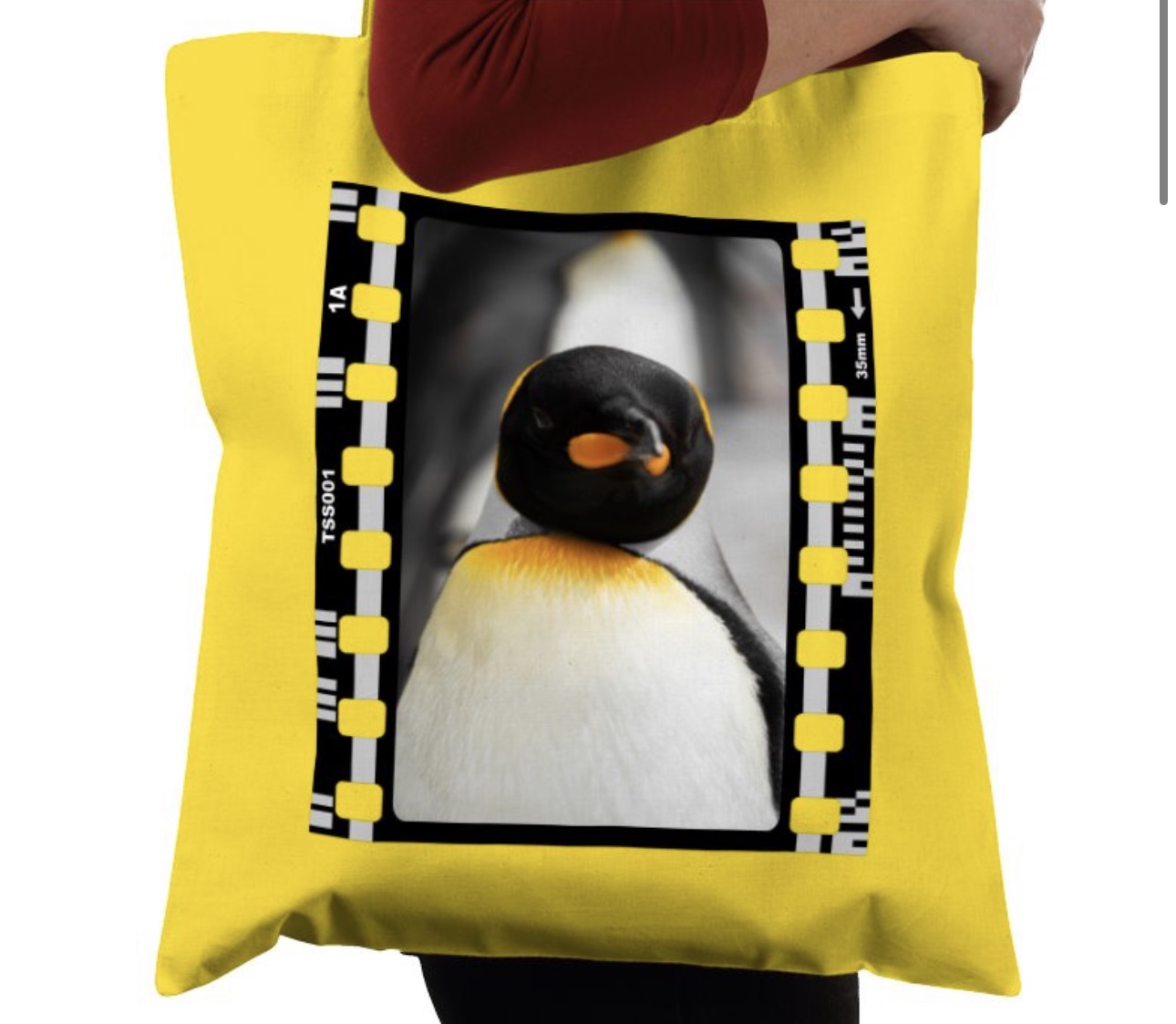 Penguin, Wildlife, Animal, Photography Film, Tote Bag