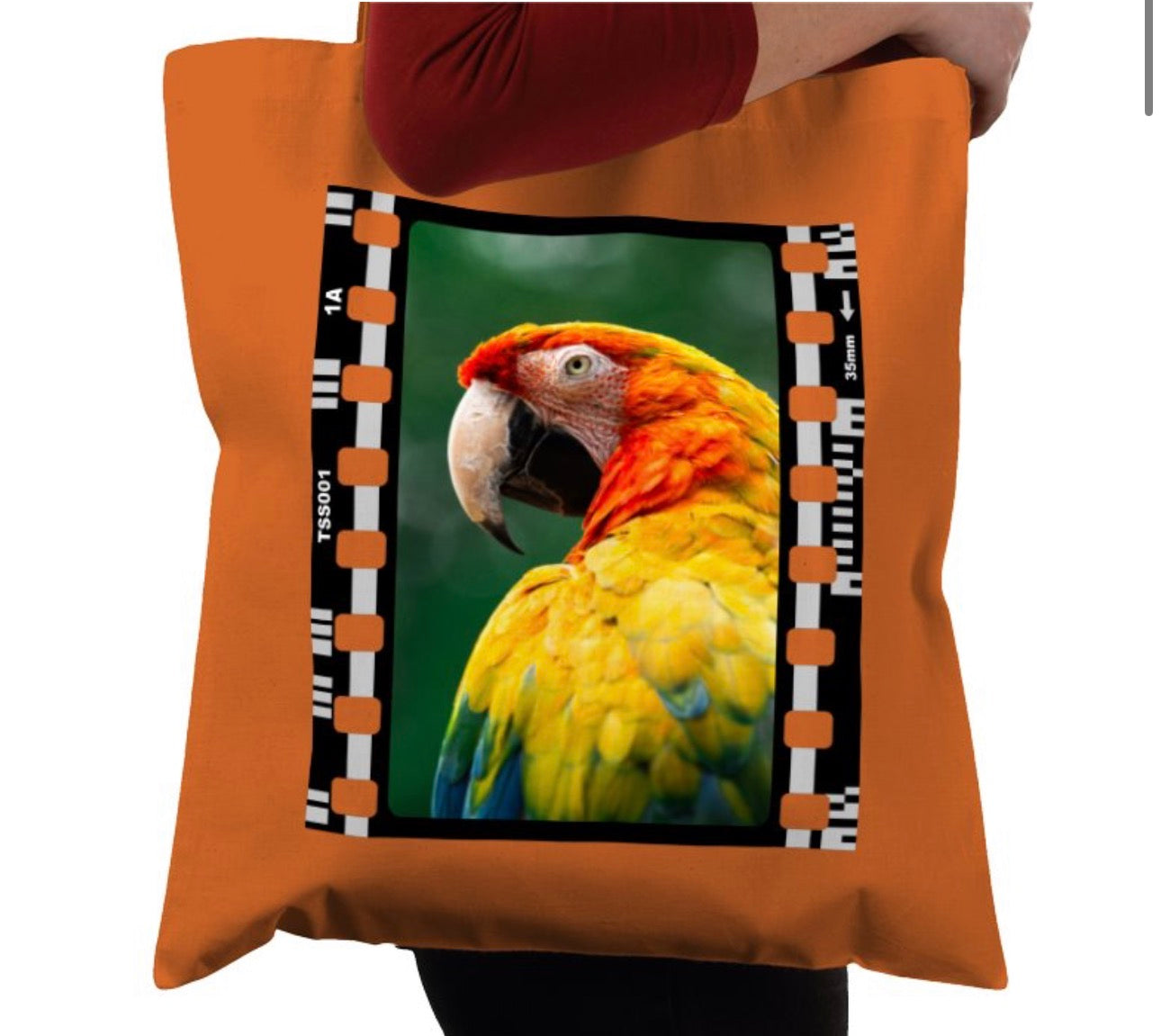 Parrot, Wildlife, Animal, Photography Film, Tote Bag