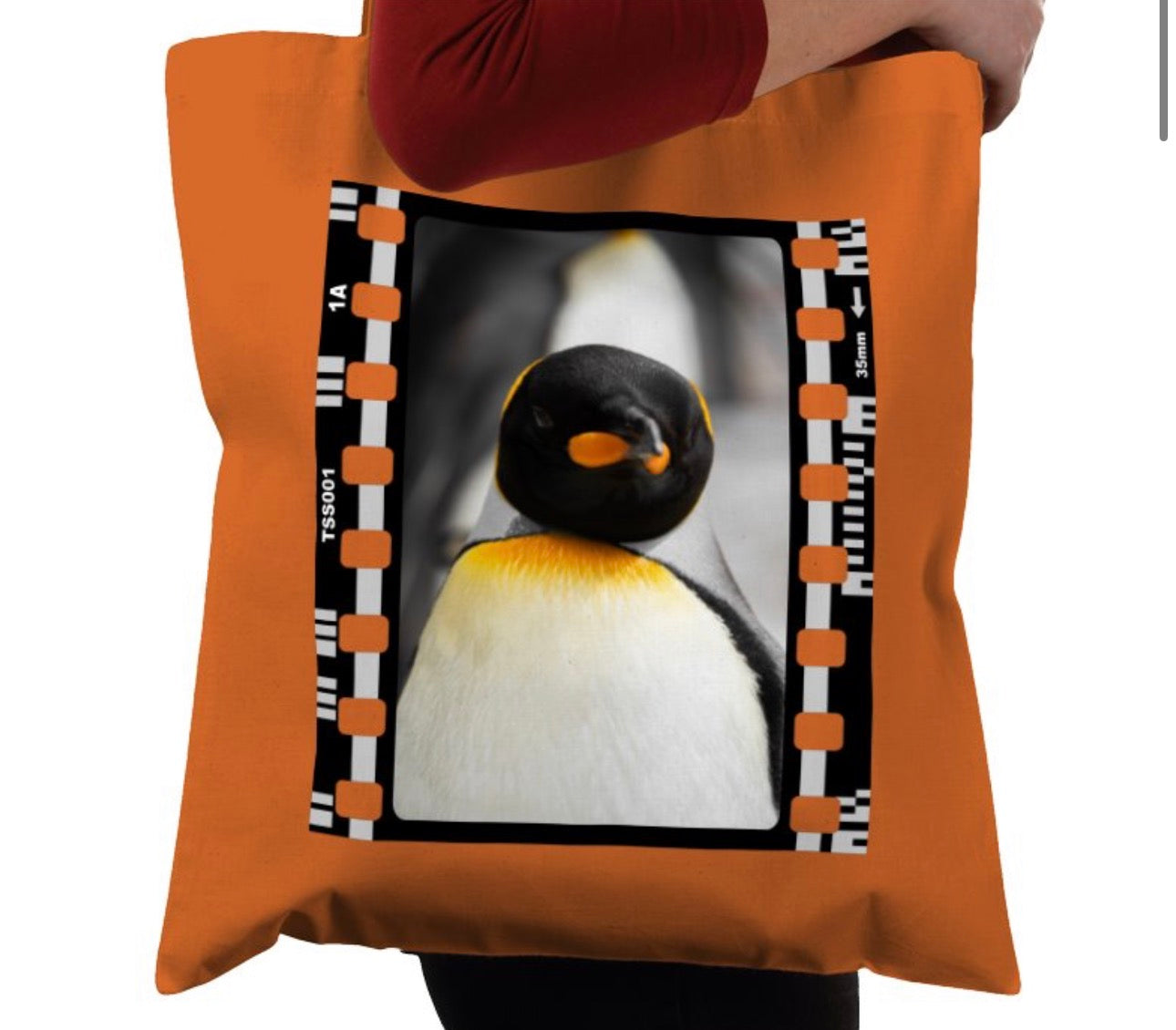 Penguin, Wildlife, Animal, Photography Film, Tote Bag