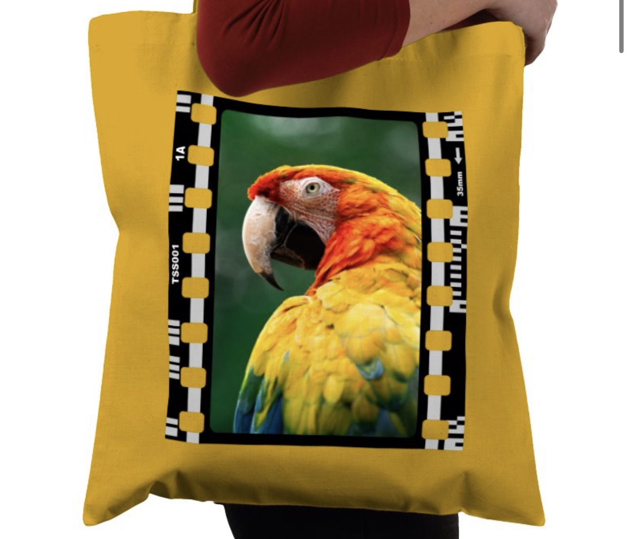 Parrot, Wildlife, Animal, Photography Film, Tote Bag