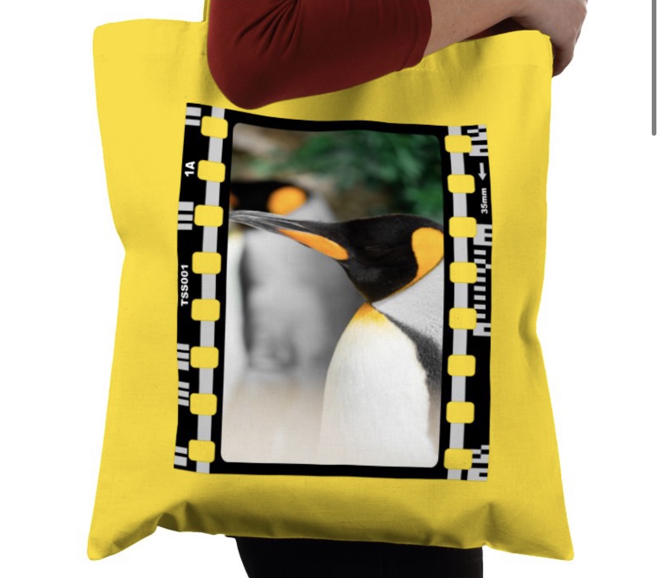 Penguin, Wildlife, Animal, Photography Film, Tote Bag