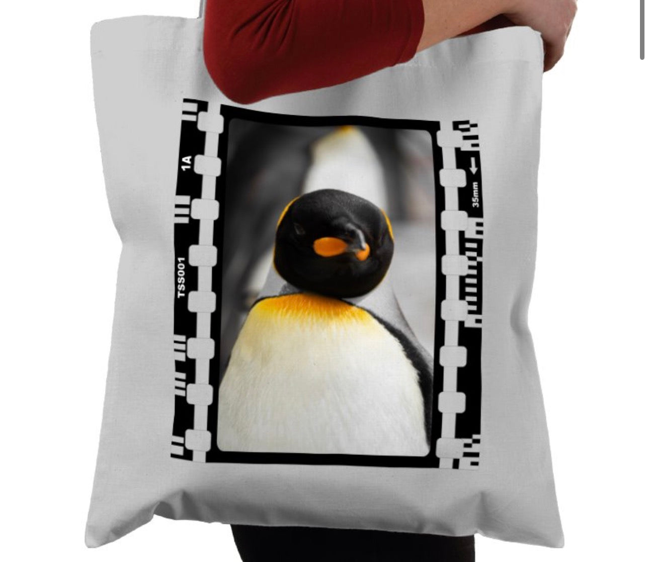 Penguin, Wildlife, Animal, Photography Film, Tote Bag