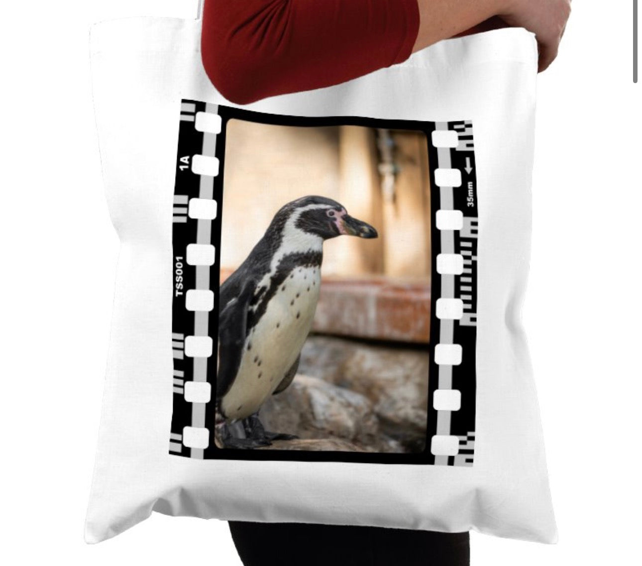 Wandering Penguin, Wildlife, Animal, Photography Film, Tote Bag