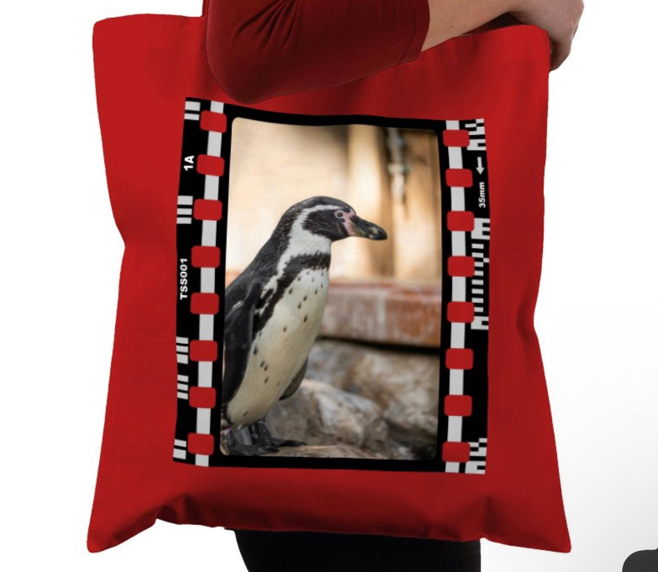 Wandering Penguin, Wildlife, Animal, Photography Film, Tote Bag