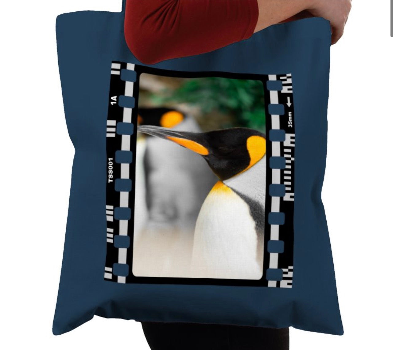 Penguin, Wildlife, Animal, Photography Film, Tote Bag