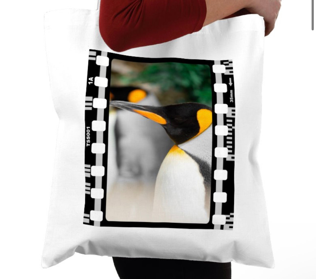 Penguin, Wildlife, Animal, Photography Film, Tote Bag