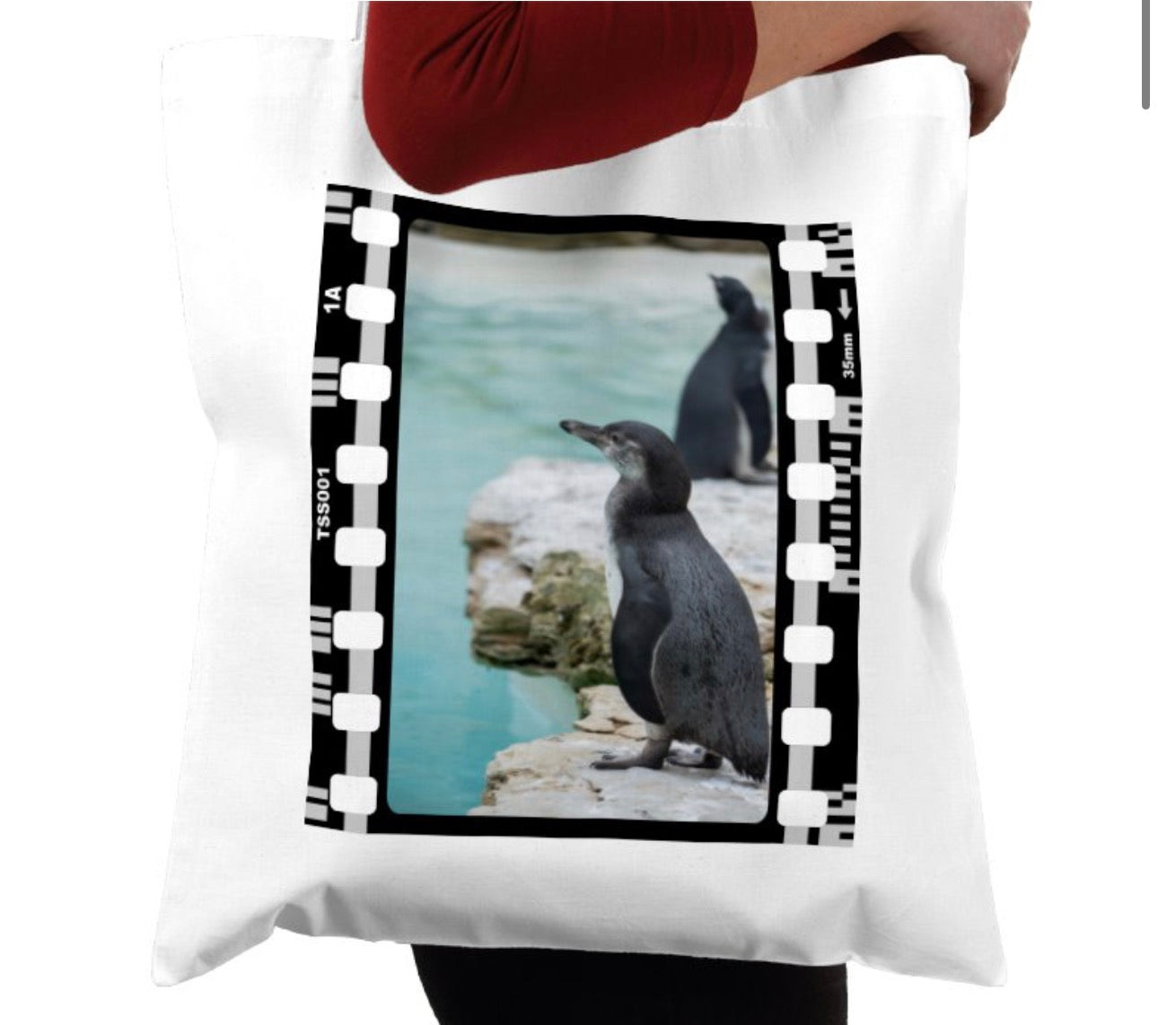 Oceanic Penguin, Wildlife, Animal, Photography Film, Tote Bag