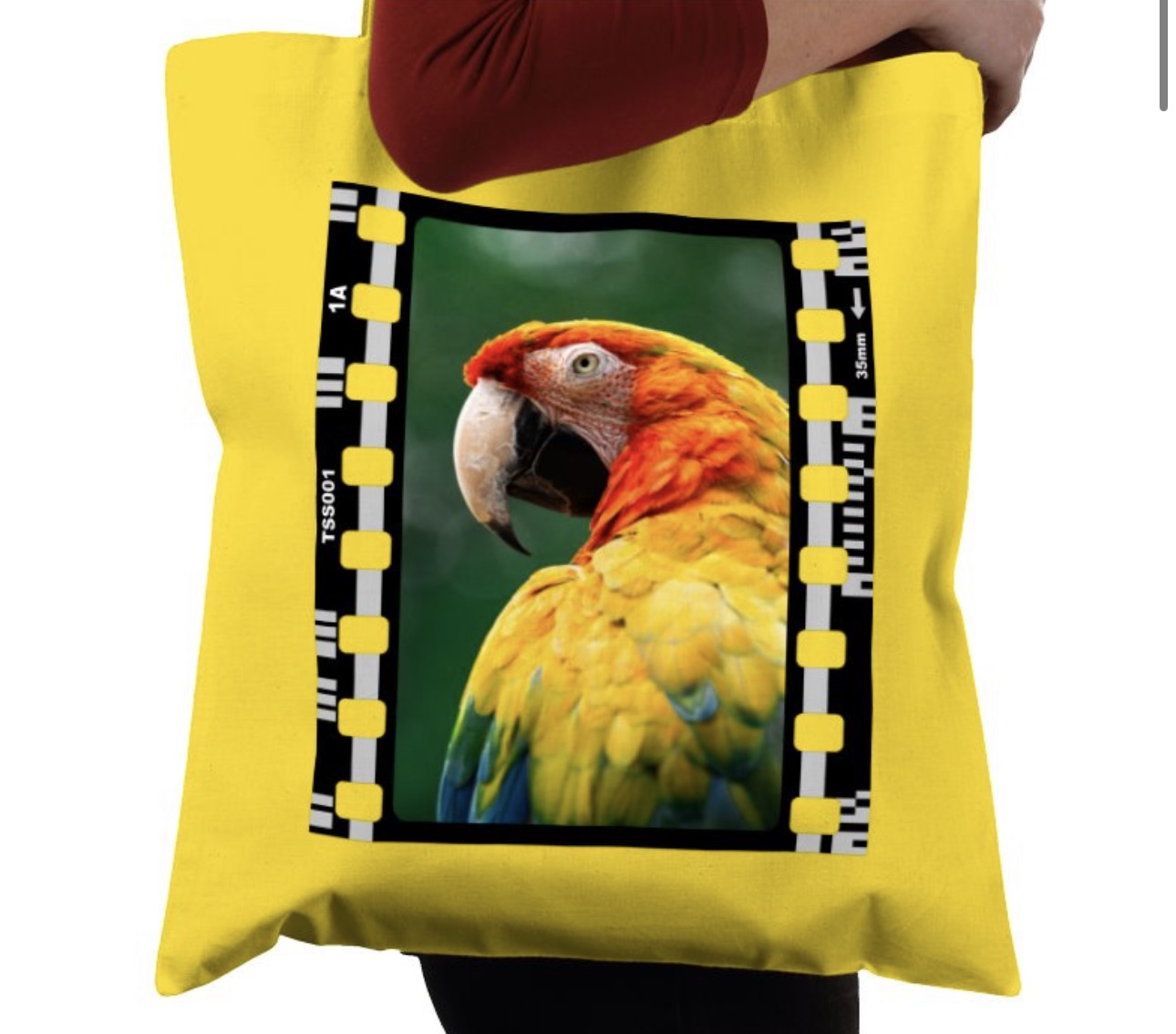 Parrot, Wildlife, Animal, Photography Film, Tote Bag