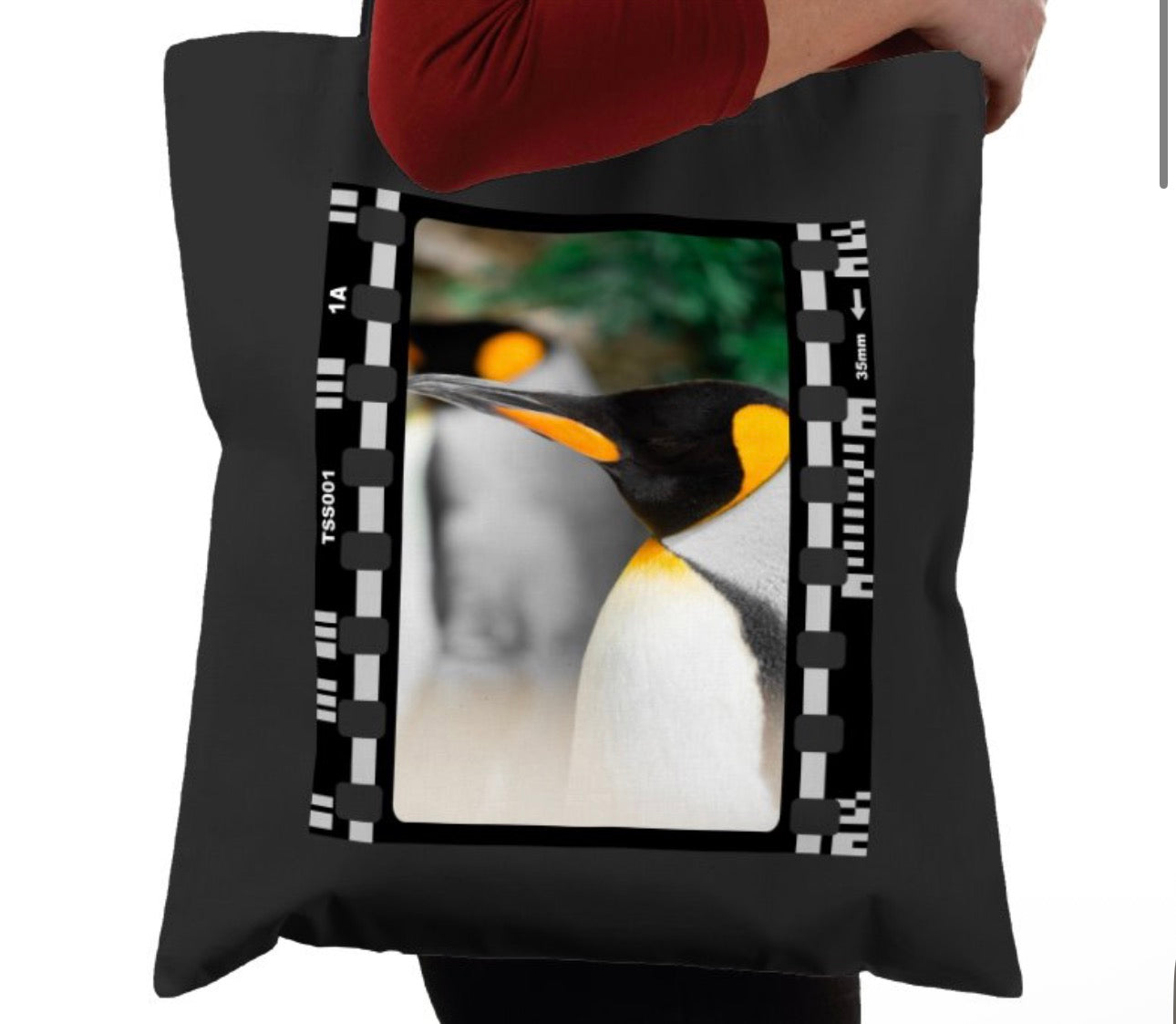 Penguin, Wildlife, Animal, Photography Film, Tote Bag