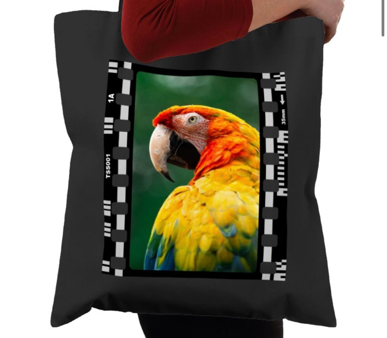 Parrot, Wildlife, Animal, Photography Film, Tote Bag