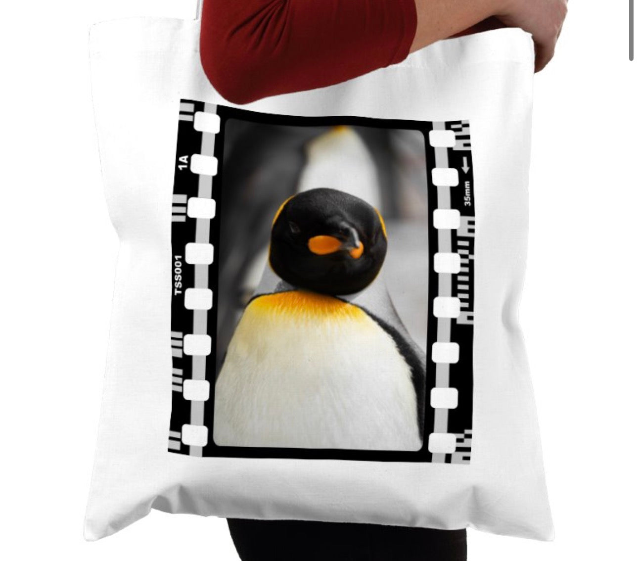 Penguin, Wildlife, Animal, Photography Film, Tote Bag