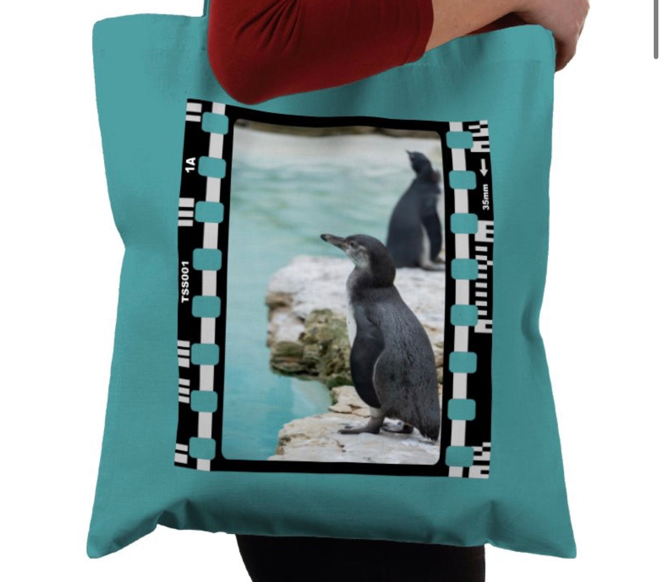 Oceanic Penguin, Wildlife, Animal, Photography Film, Tote Bag