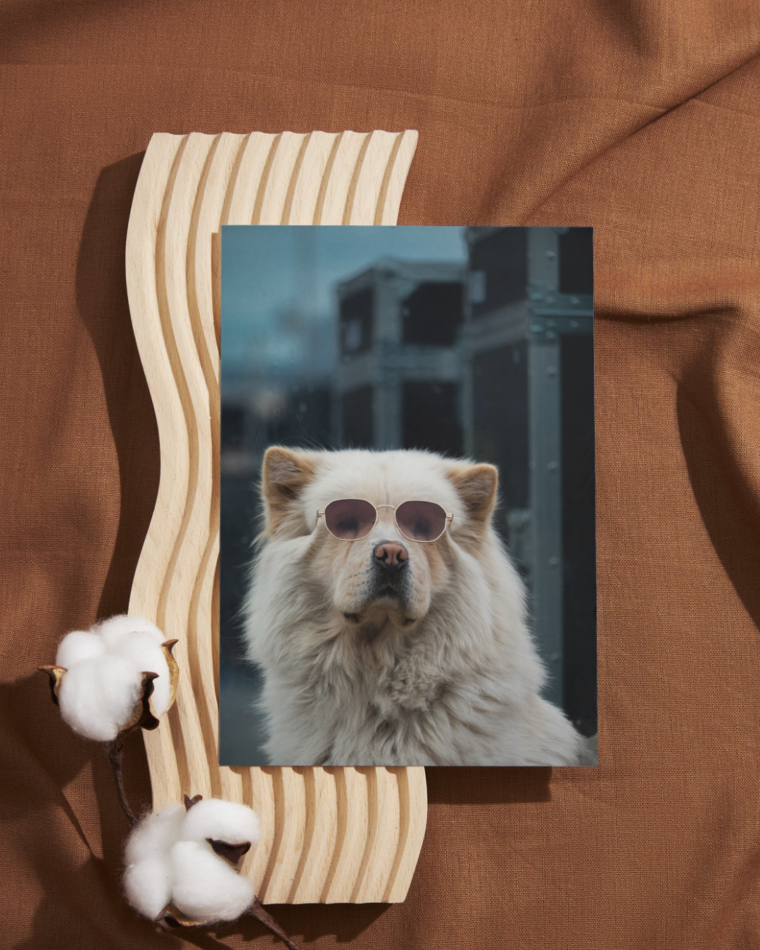 French Dog with Sunglasses, France, Travel, Unframed Photography Print