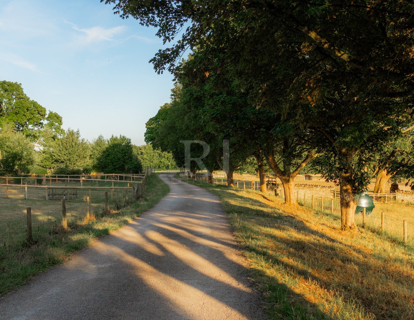 BUNDLE X3: Cotswolds Landscape, Nature & Wildlife, Unframed Photography Prints