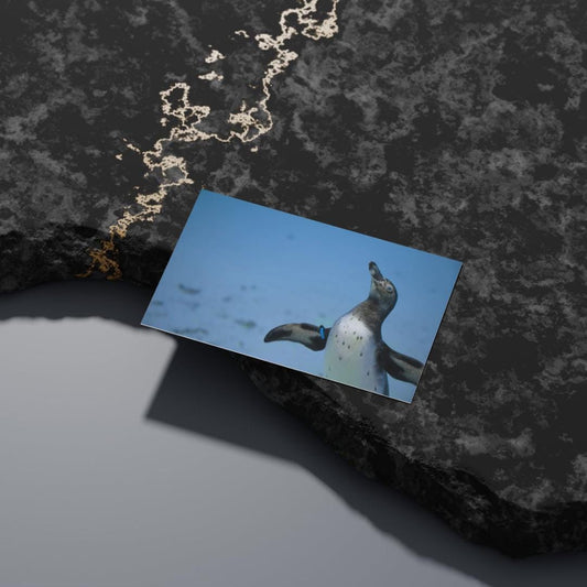 Penguin Fridge Magnet. Ocean Photography. 6" x 4" High Quality Easy Fridge Magnet