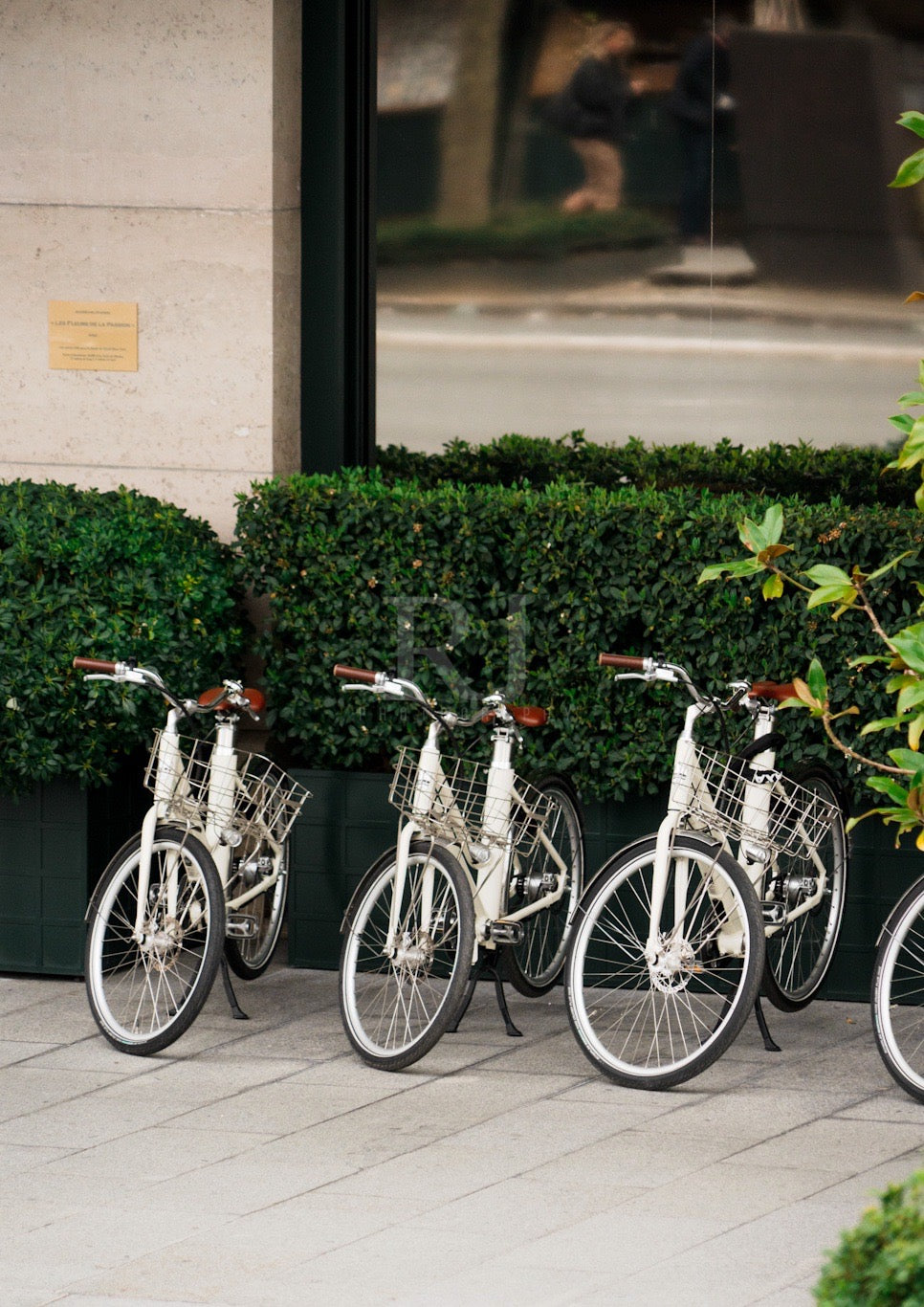 Paris Bikes in Spring, France, Travel, Unframed Photography Print