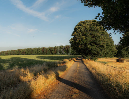 BUNDLE X3: Cotswolds Landscape, Nature & Wildlife, Unframed Photography Prints
