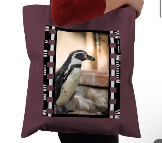 Wandering Penguin, Wildlife, Animal, Photography Film, Tote Bag