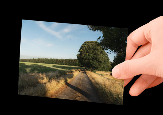 BUNDLE X3: Cotswolds Landscape, Nature & Wildlife, Unframed Photography Prints