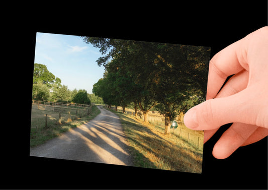Cotswolds Farming Landscape, Nature & Wildlife, Unframed Photography Print