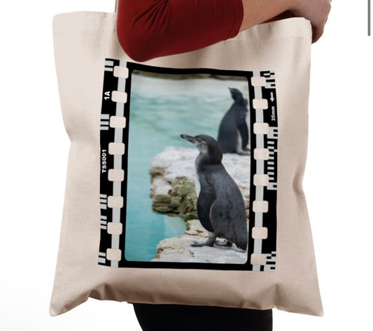 Oceanic Penguin, Wildlife, Animal, Photography Film, Tote Bag