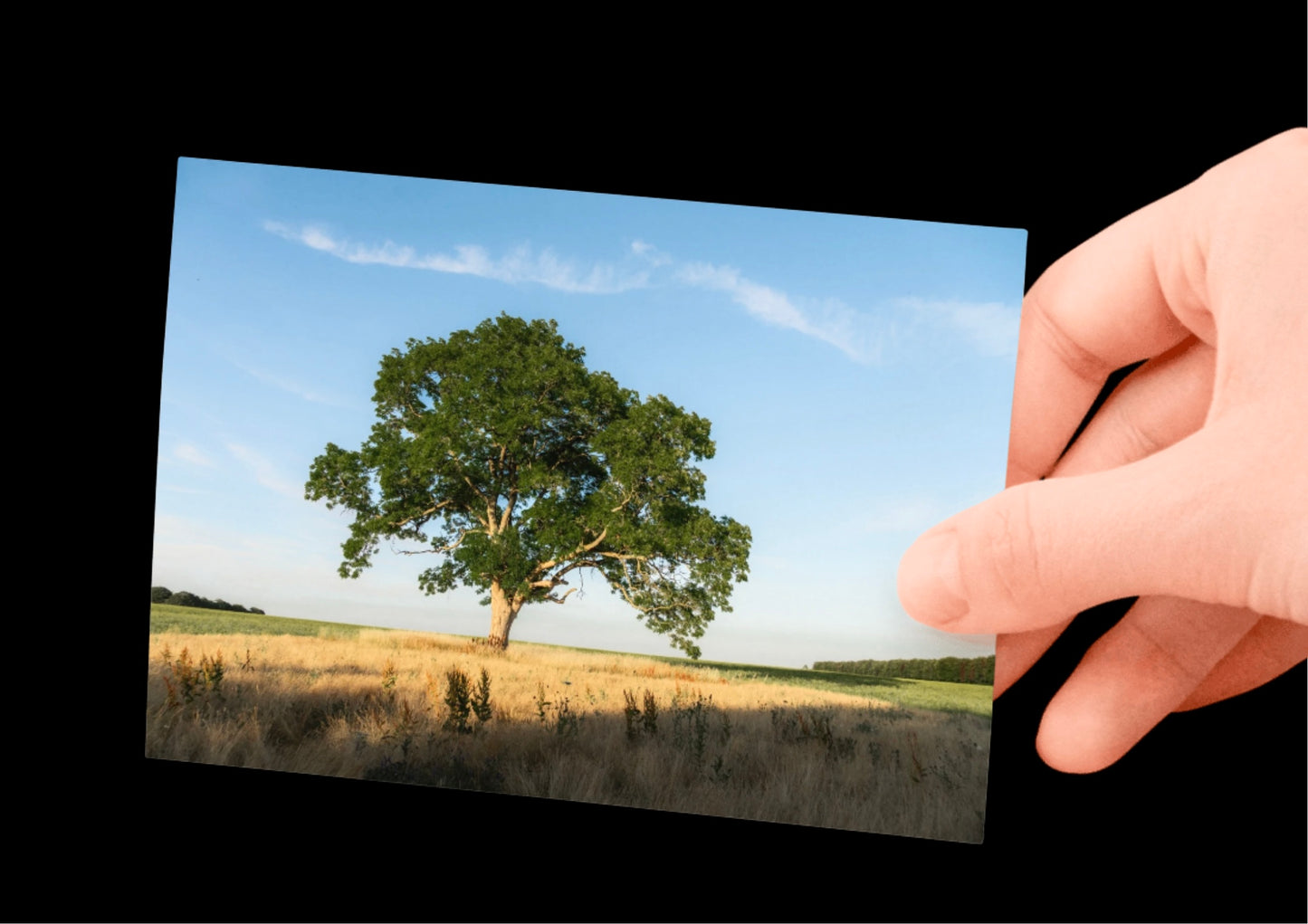 BUNDLE X3: Cotswolds Landscape, Nature & Wildlife, Unframed Photography Prints