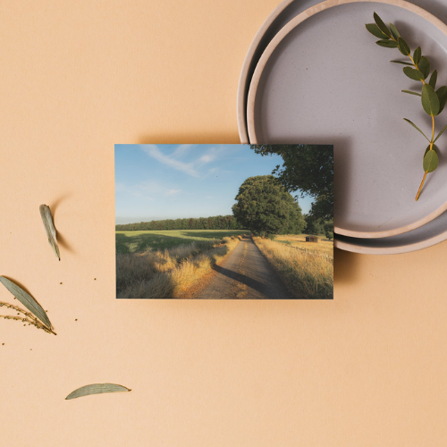 BUNDLE X3: Cotswolds Landscape, Nature & Wildlife, Unframed Photography Prints