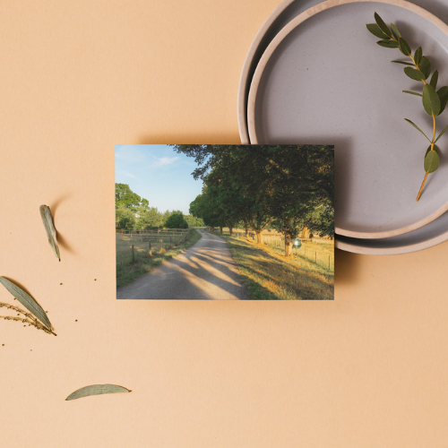 BUNDLE X3: Cotswolds Landscape, Nature & Wildlife, Unframed Photography Prints