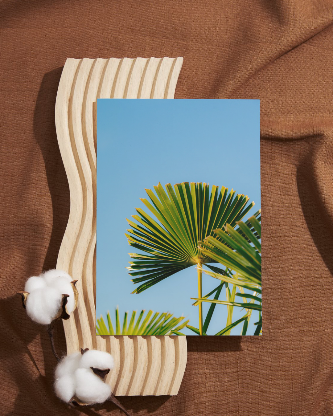 BUNDLE: X2 Palm Trees in Paris, France, Travel, Unframed Photography Print