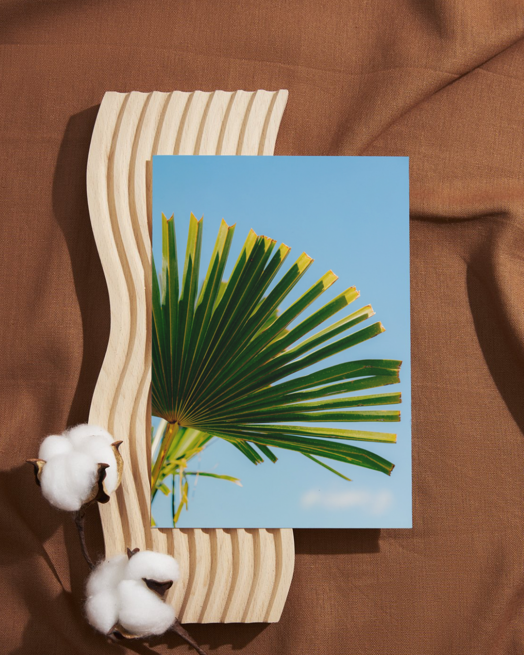 BUNDLE: X2 Palm Trees in Paris, France, Travel, Unframed Photography Print