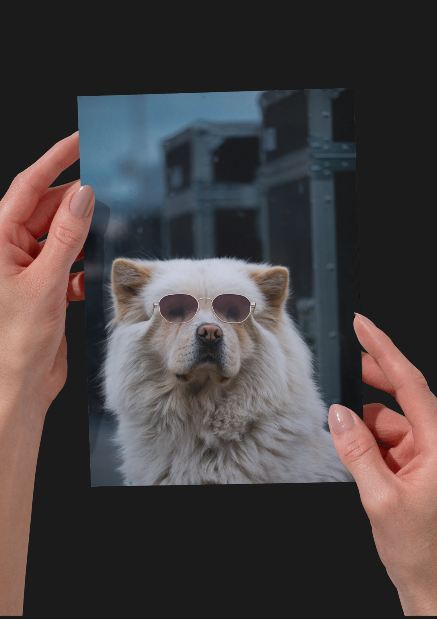 French Dog with Sunglasses, France, Travel, Unframed Photography Print