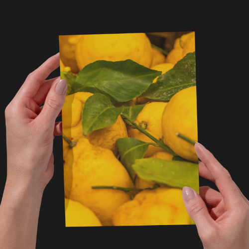 Lemons, Limincello Photography Print, Unframed Italian Print